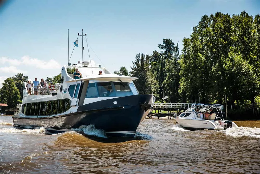 TIGRE PREMIUM