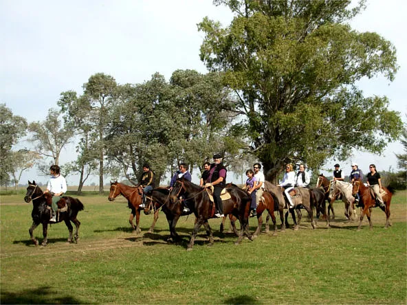 GAUCHO PARTY - DON SILVANO